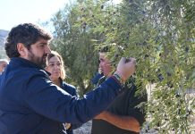 La Región de Murcia destina 7 millones en ayudas para mitigar el impacto de la sequía en el campo